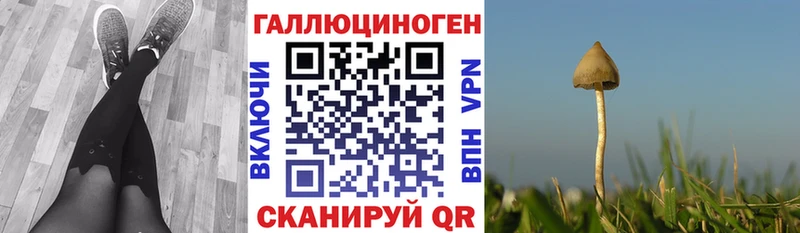 мега ссылка  Микунь  Псилоцибиновые грибы мицелий 